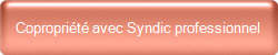 Copropriété avec Syndic professionnel